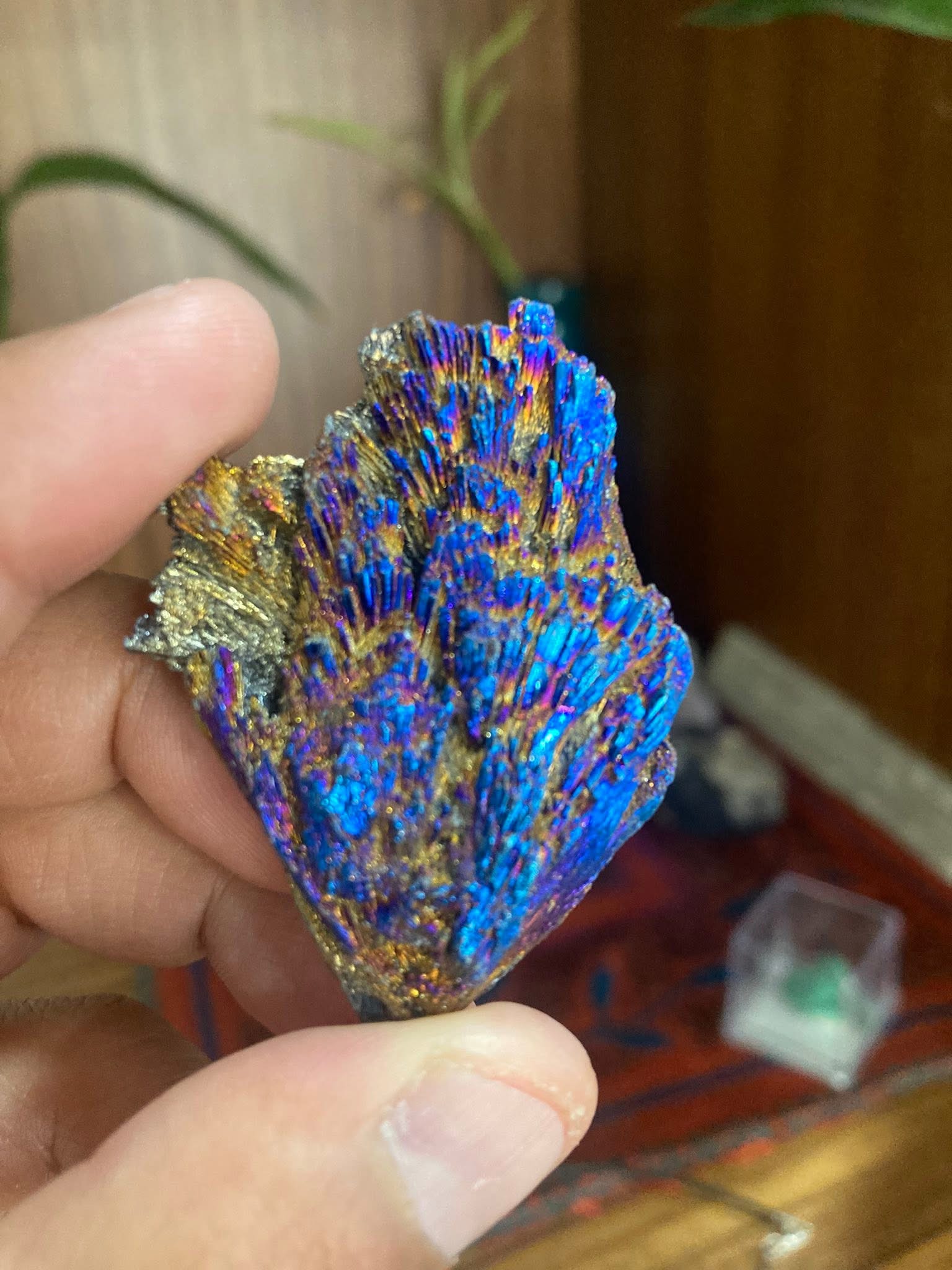 Cianita/Escoba de bruja bañada en titanio