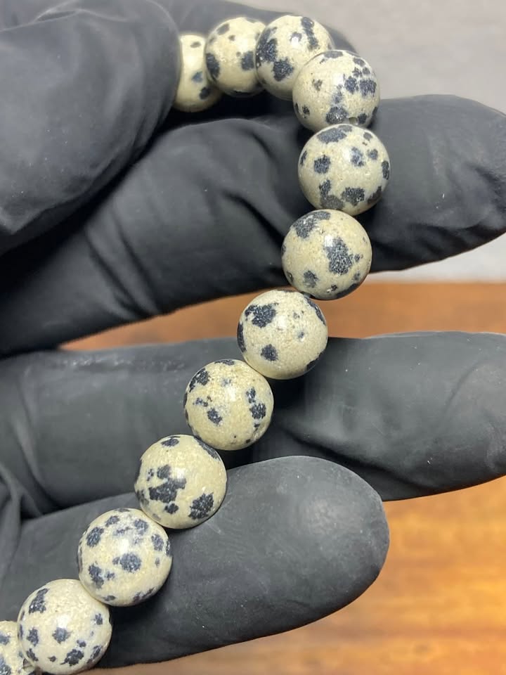 Pulsera Jaspe Dálmata 8mm (Hilo elástico)