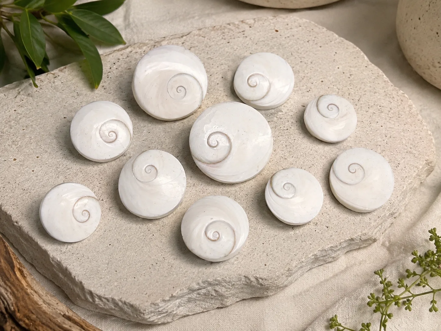 Ojos De Shiva Naturales Pulidos 3 A 4 Cm Lote Variado